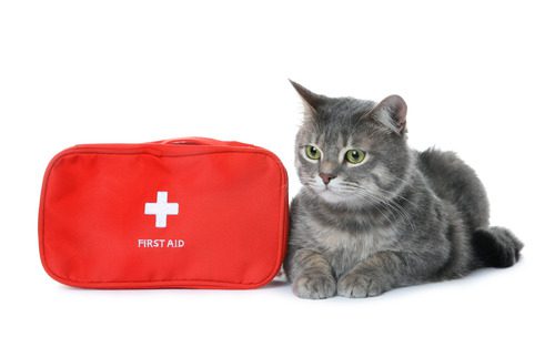 Pet Emergencies