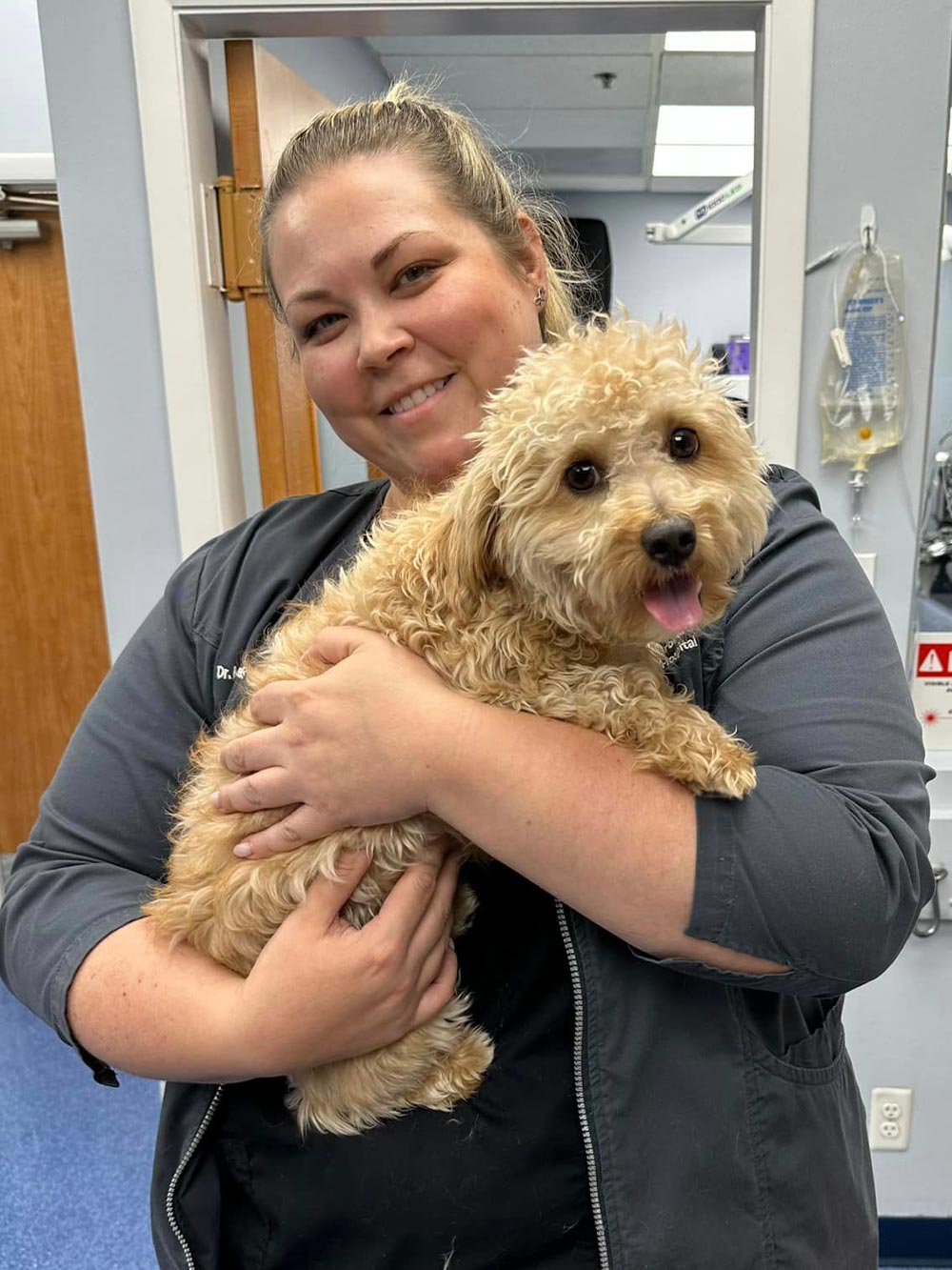 Doctor Smiling And Holding Small Fluffy Dog