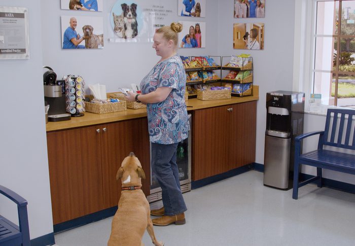Complimentary Snack Bar Central Broward