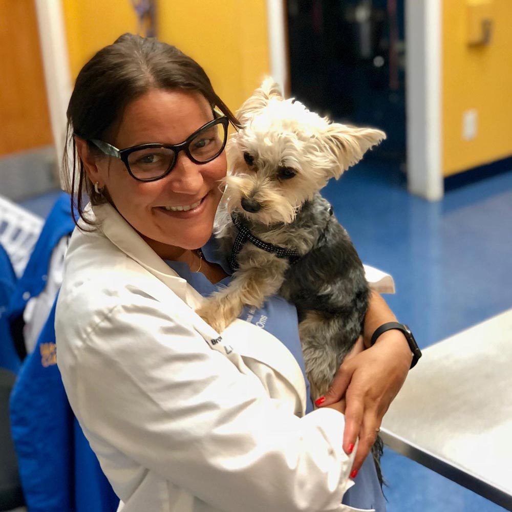 Doctor Smiling And Holding Terrier Dog Square