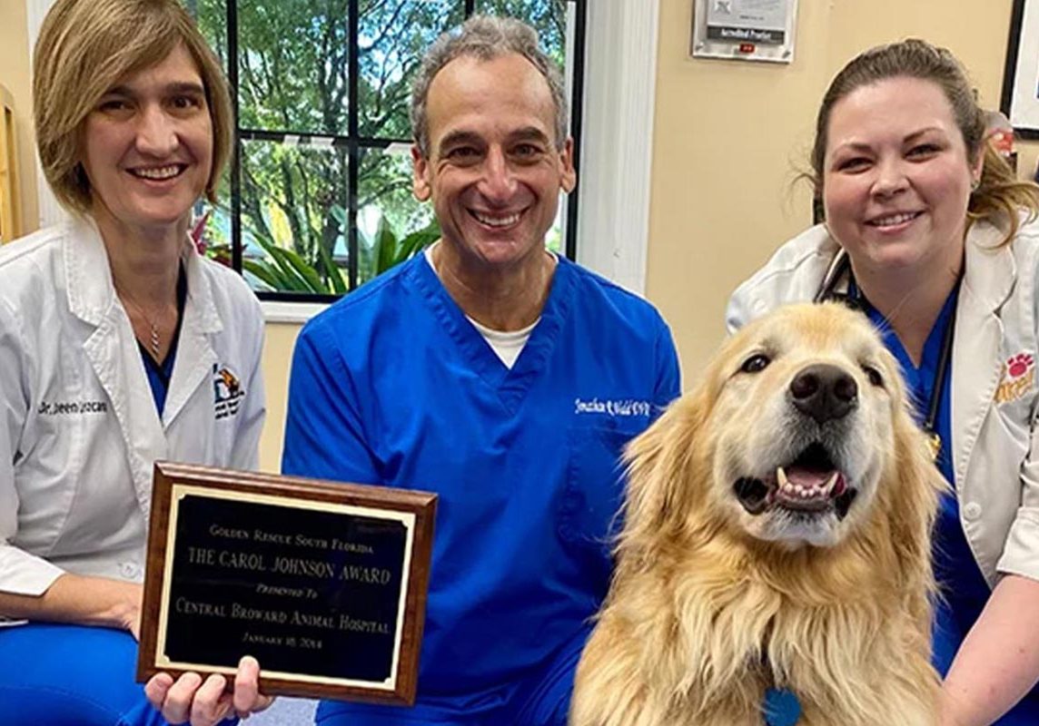 Doctors Smiling And Holding Award With Golden Retriever Mobile