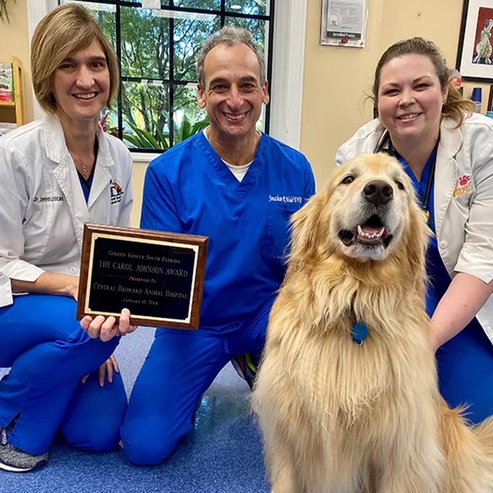 Doctors Smiling And Holding Award With Golden Retriever