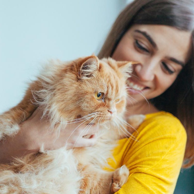 Happy Woman Holding Fluffy Tabby Cat