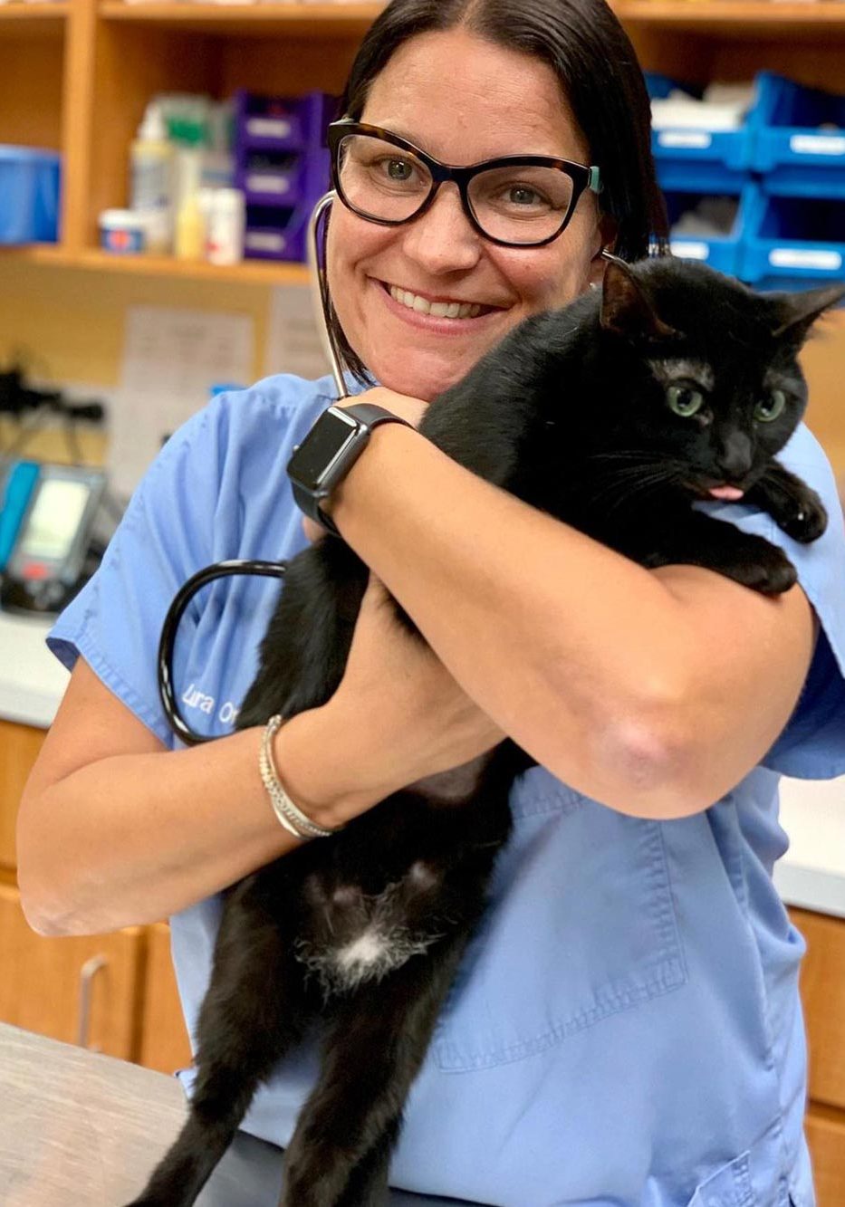 Pet Vaccinations In Plantation Fl