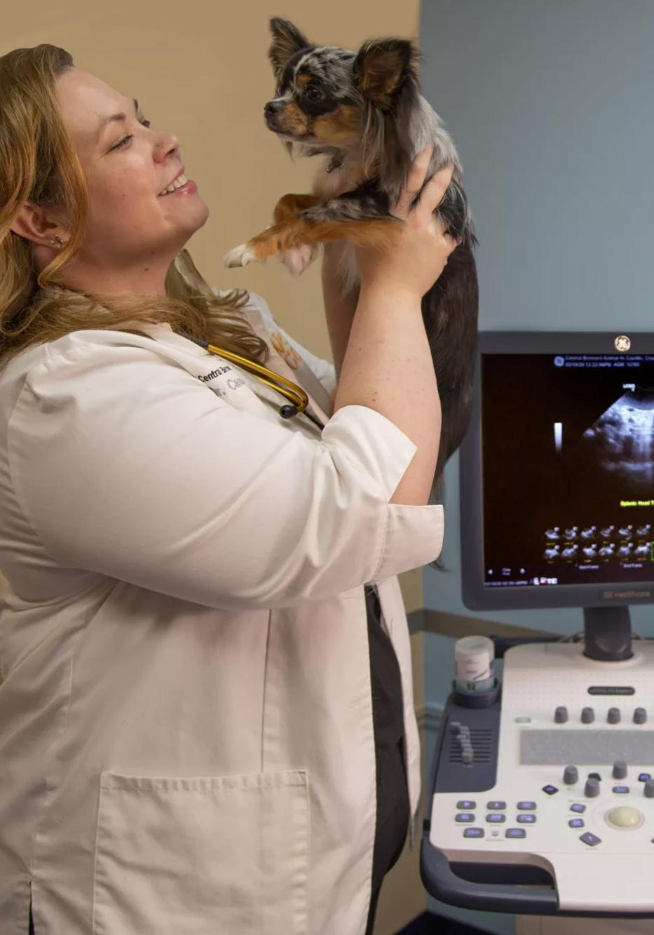 Veterinary Diagnostics In Plantation Fl