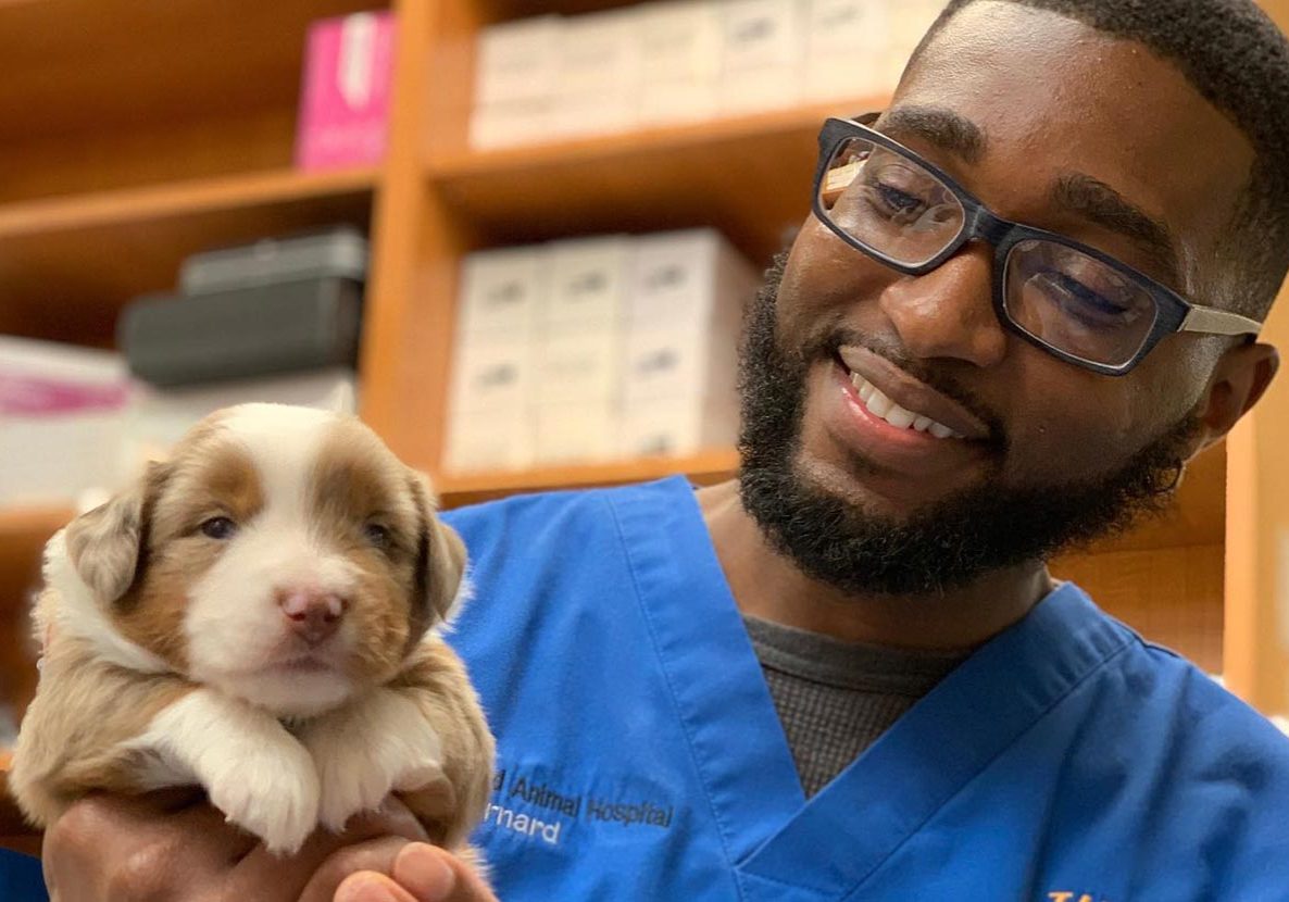 Veterinary Staff Holding Small Puppy
