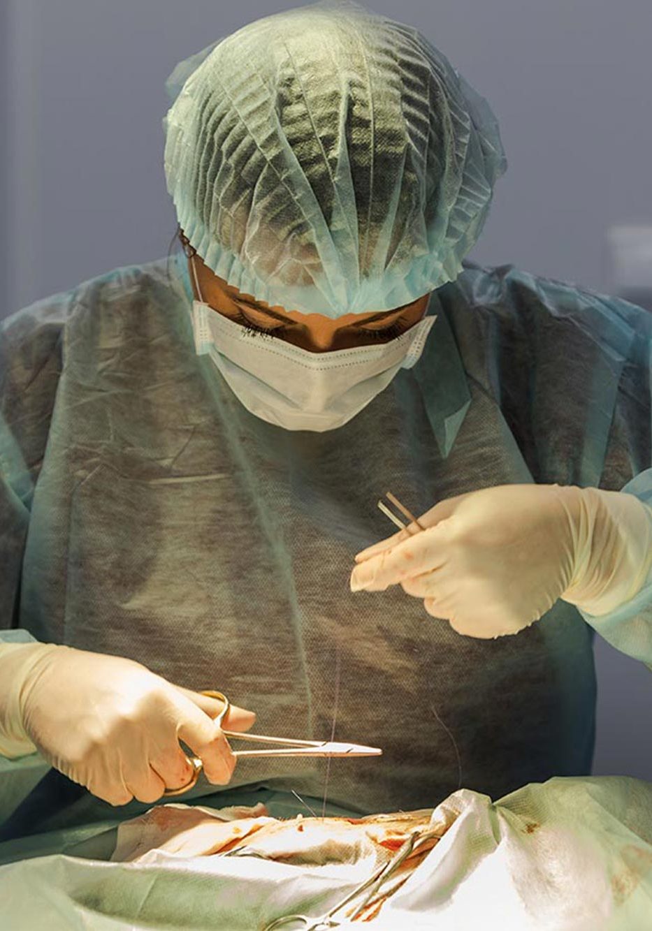 Veterinary Surgeon About To Cut Thread For Stitches